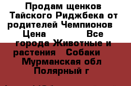 Продам щенков Тайского Риджбека от родителей Чемпионов › Цена ­ 30 000 - Все города Животные и растения » Собаки   . Мурманская обл.,Полярный г.